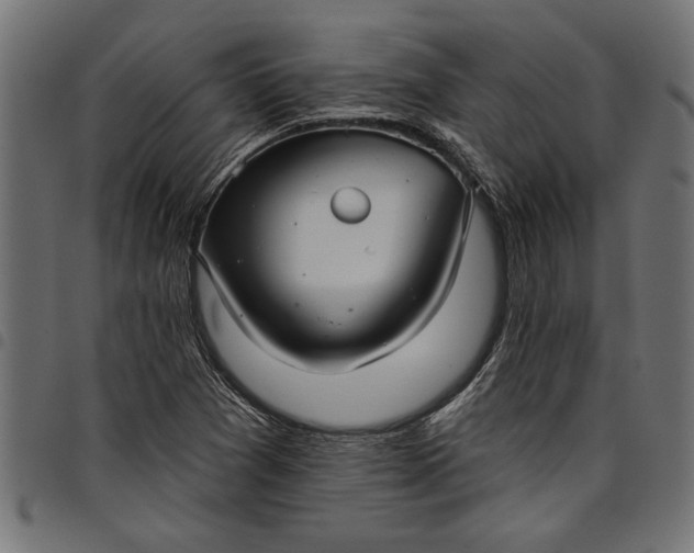X0000097871361200803281152