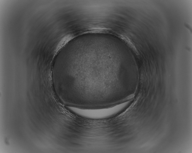 X0000097871362200803281152