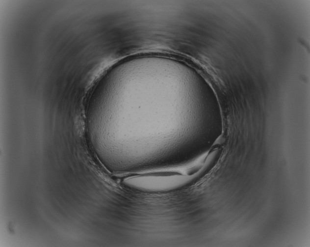X0000097871363200803281152