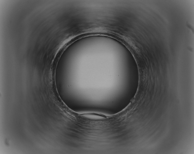 X0000097871364200803281152