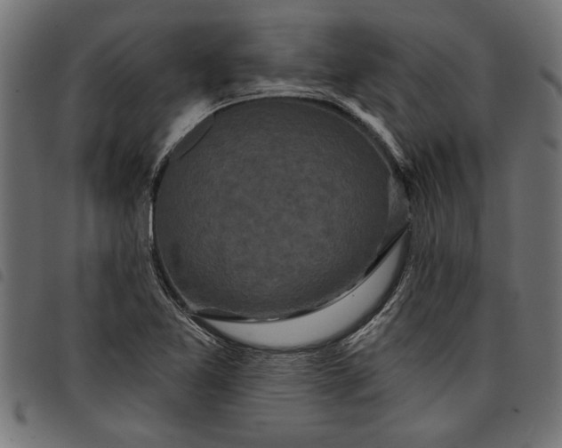 X0000097871365200803281152