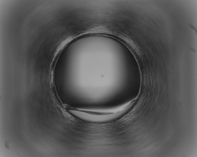 X0000097871366200803281152