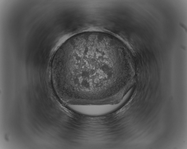 X0000097871367200803281152