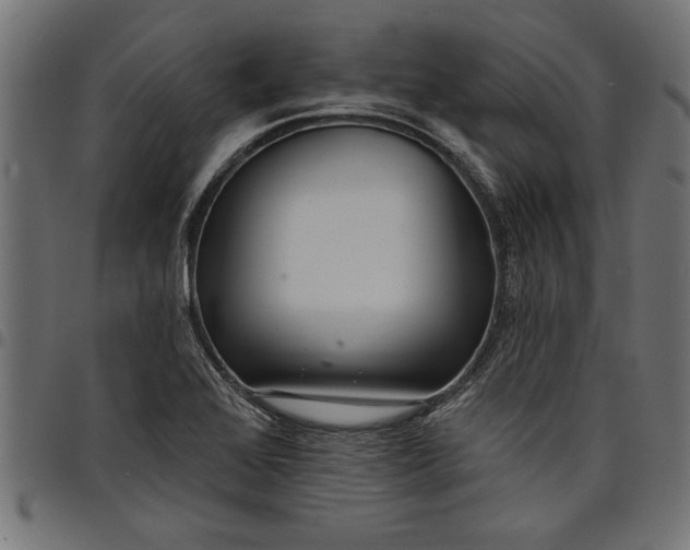X0000097871368200803281152