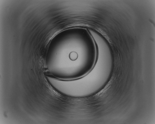 X0000097871369200803281152