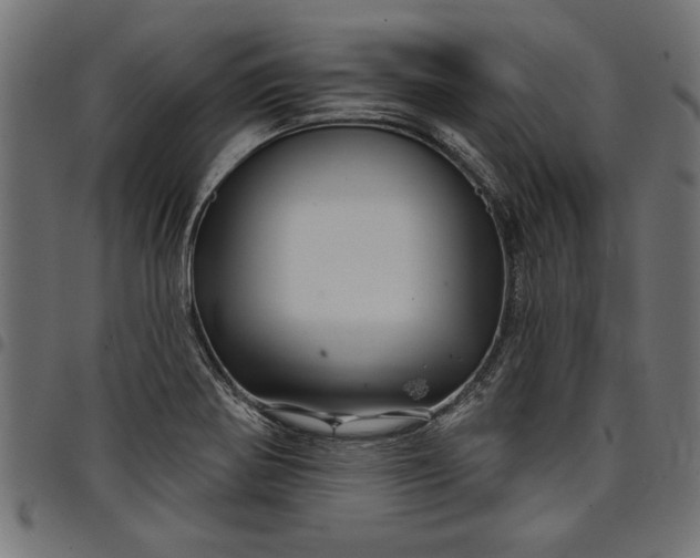 X0000097871370200803281152