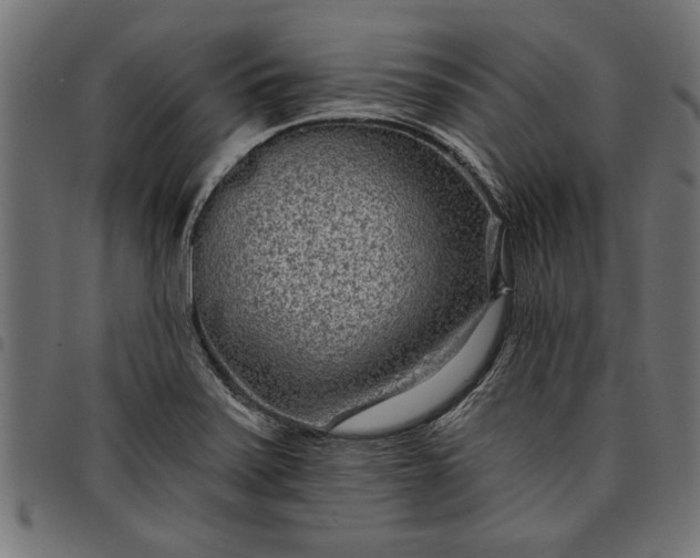 X0000097871371200803281152