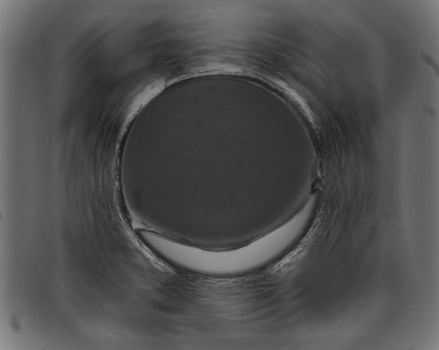 X0000097871373200803281152