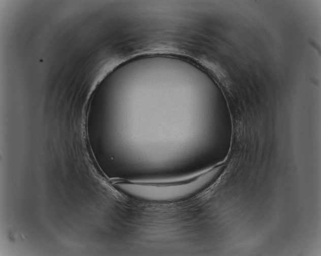 X0000097871374200803281152