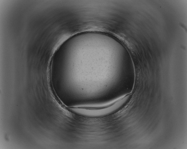 X0000097871375200803281151