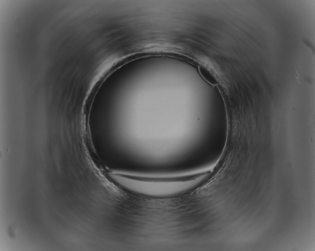 X0000097871376200803281151