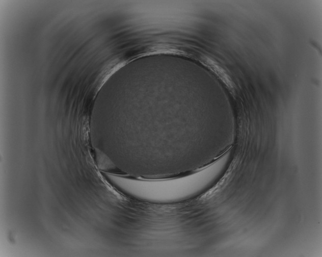 X0000097871377200803281151