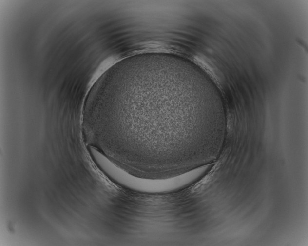 X0000097871378200803281151