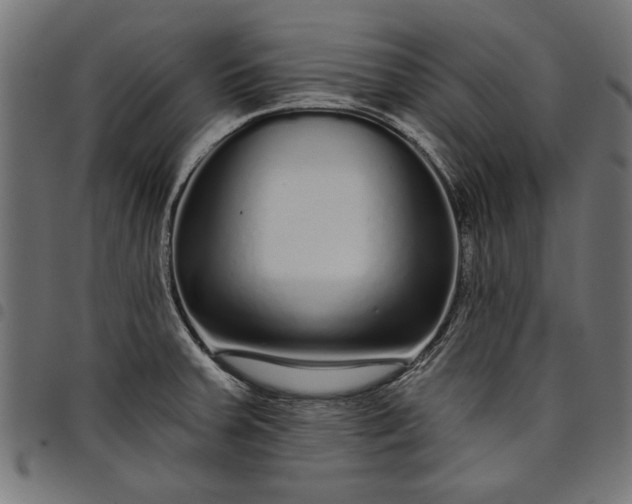 X0000097871379200803281151