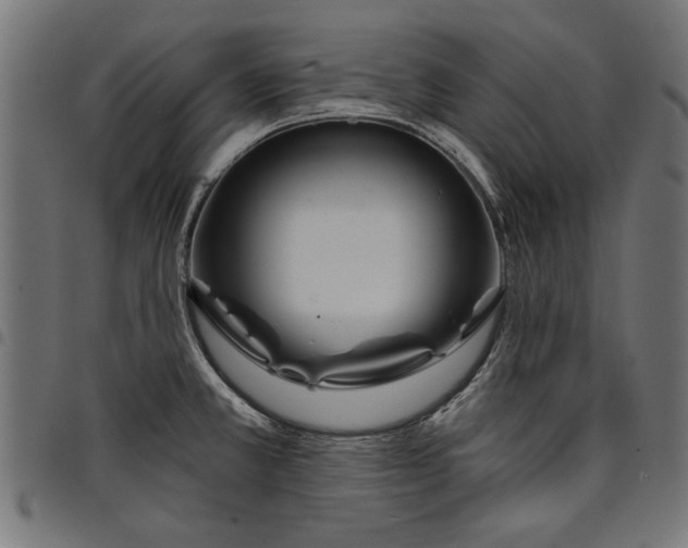 X0000097871381200803281151