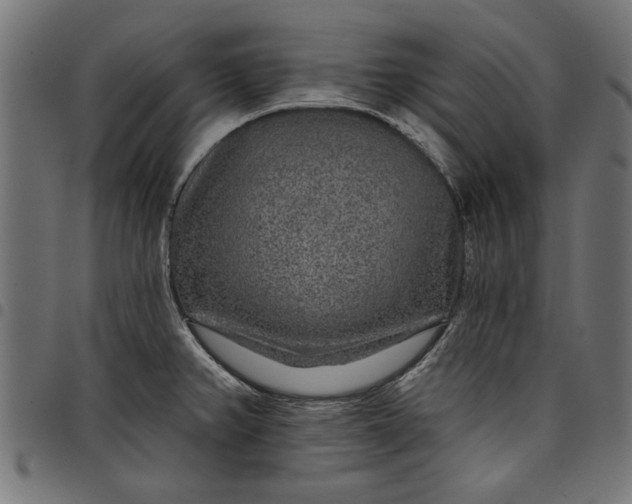 X0000097871382200803281151