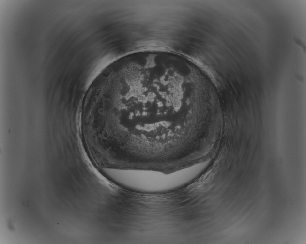 X0000097871383200803281151