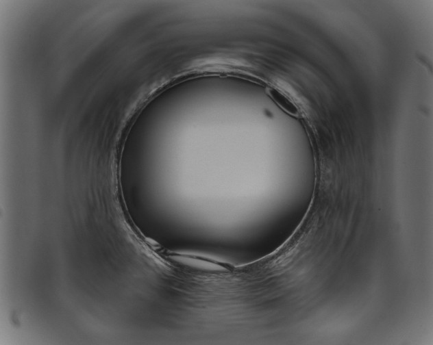X0000097871384200803281151