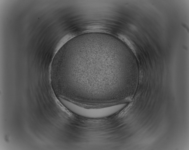 X0000097871386200803281151