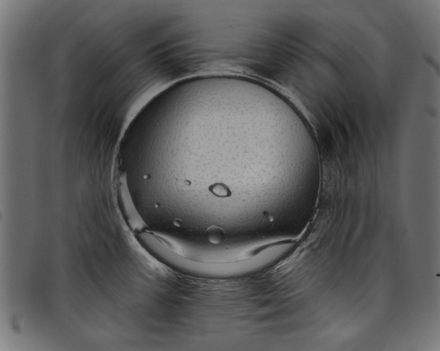 X0000097871387200803281151