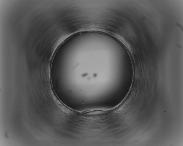 X0000097871388200803281151