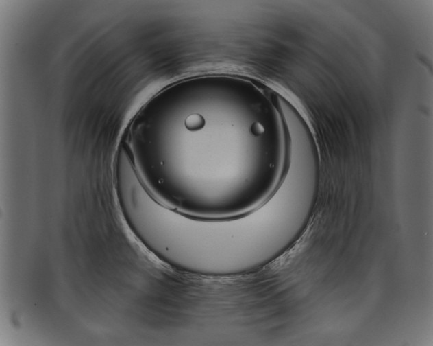 X0000097871389200803281151