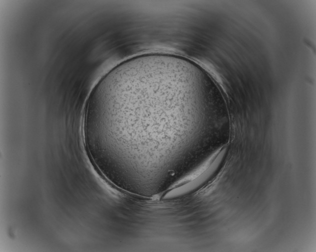 X0000097871391200803281151