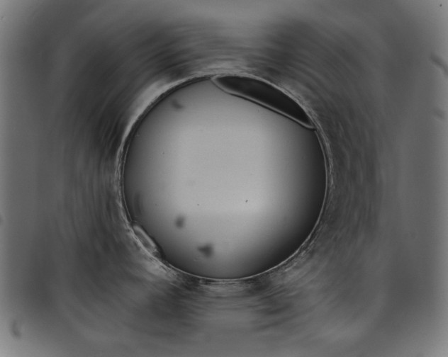 X0000097871392200803281151