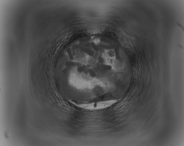 X0000097871393200803281151