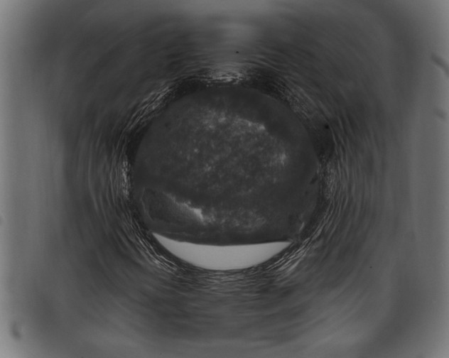 X0000097871394200803281151