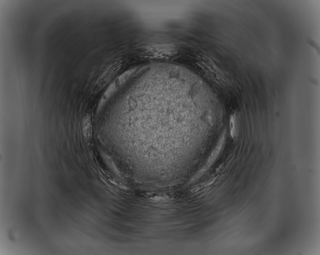 X0000097871395200803281151