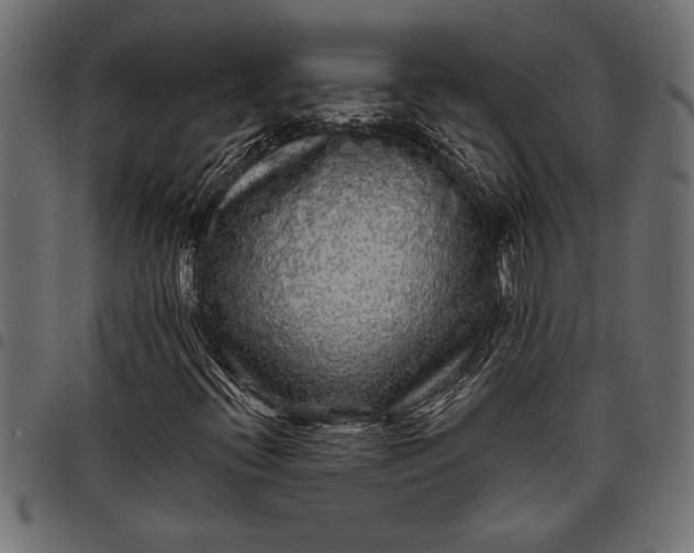X0000097871396200803281151
