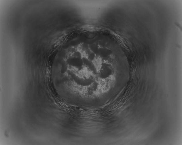 X0000097871397200803281151