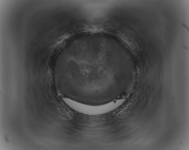 X0000097871398200803281151