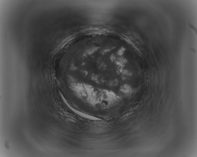 X0000097871399200803281151