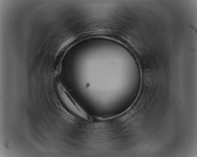 X0000097871402200803281151