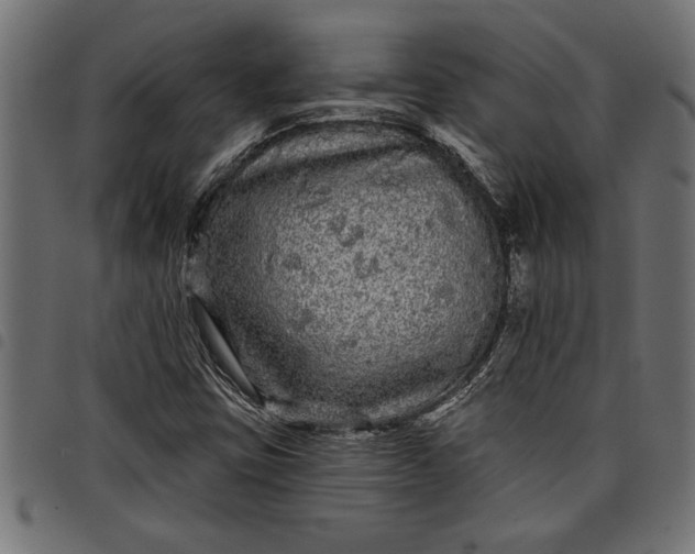 X0000097871403200803281151