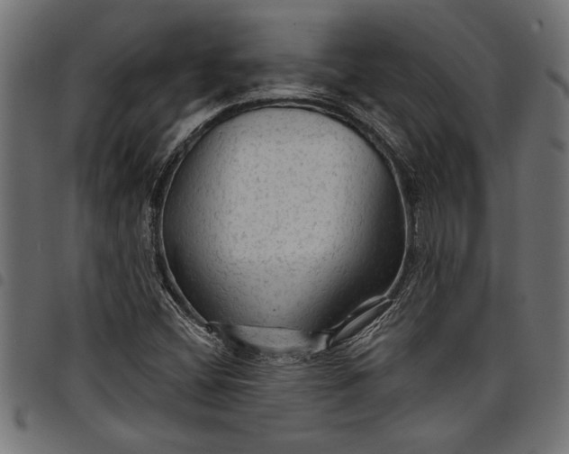 X0000097871404200803281151