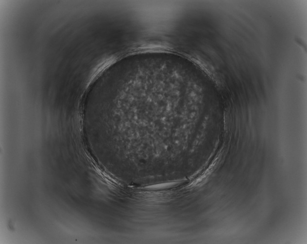 X0000097871405200803281151