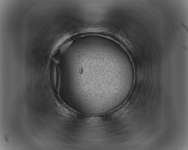 X0000097871406200803281151