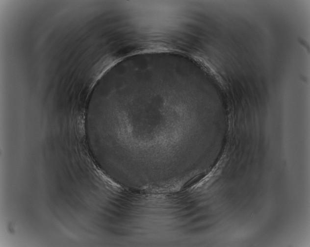 X0000097871409200803281151