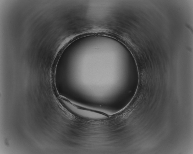 X0000097871412200803281151