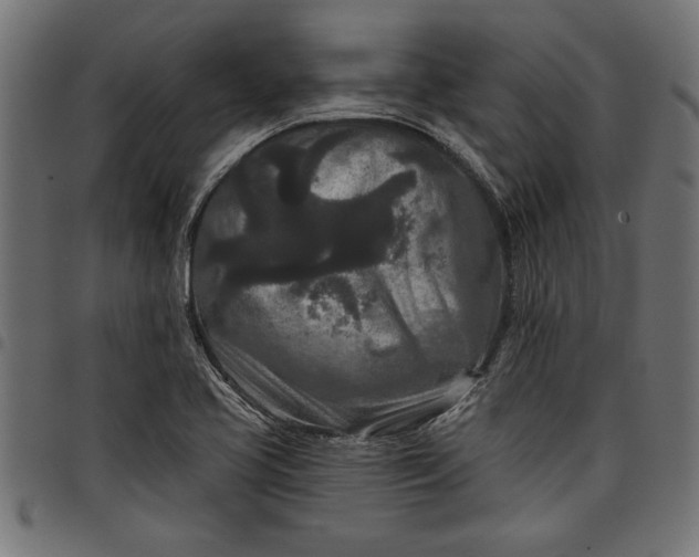X0000097871413200803281151