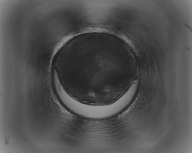 X0000097871414200803281151