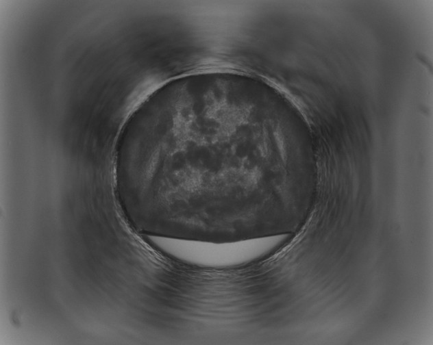 X0000097871415200803281151