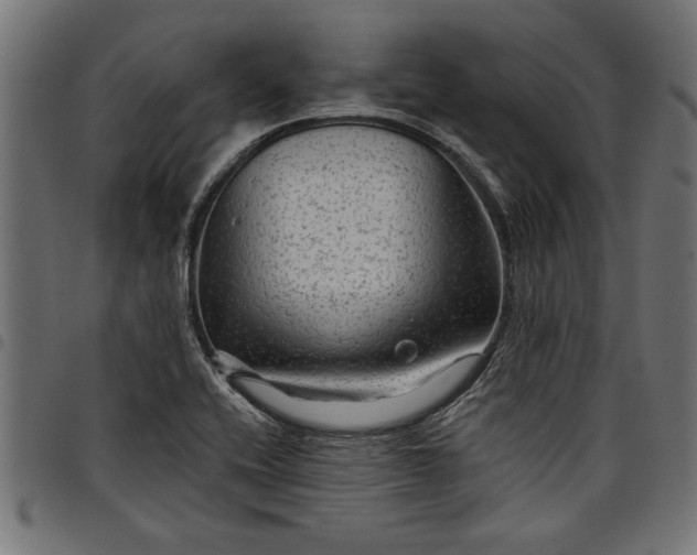 X0000097871416200803281151