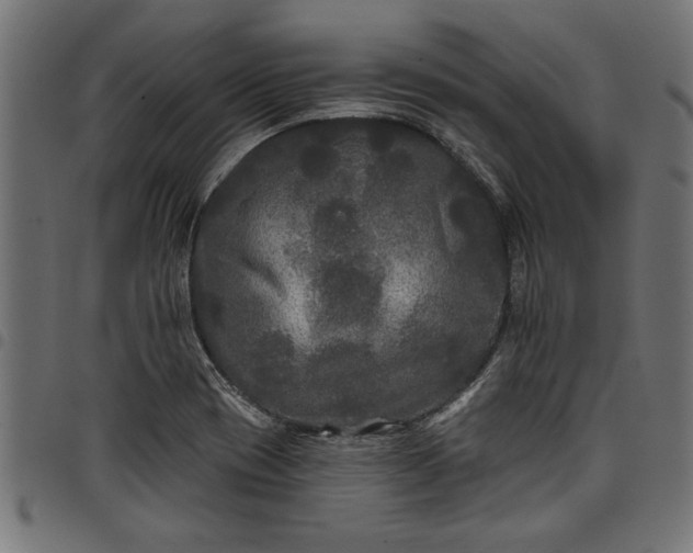 X0000097871417200803281151