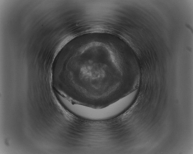 X0000097871418200803281151