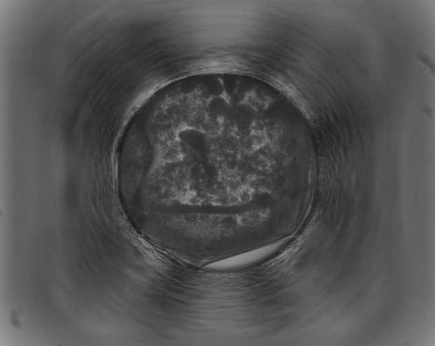 X0000097871419200803281151