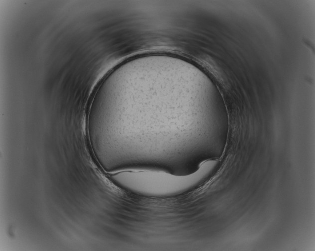 X0000097871420200803281151
